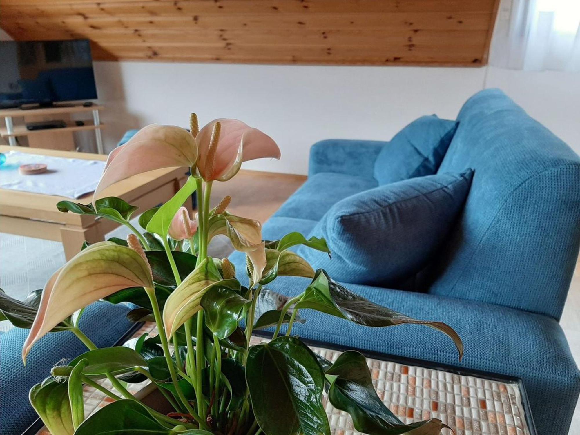 Ferienwohnung Am Patenberg Finnentrop 外观 照片